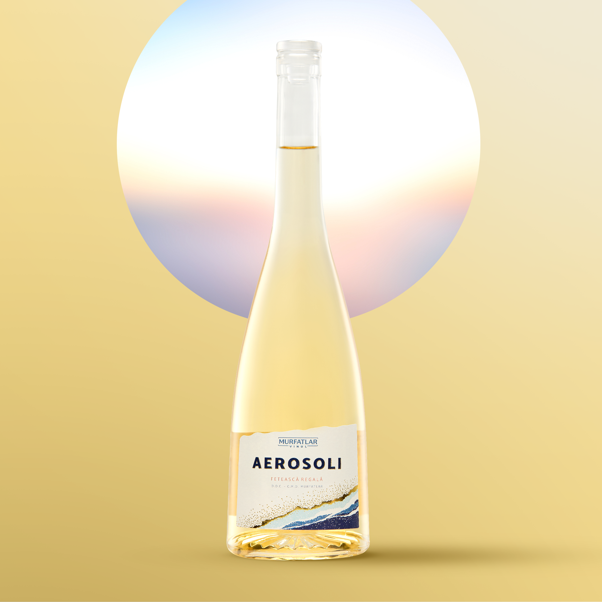 Aerosoli 1 Aerosoli 1