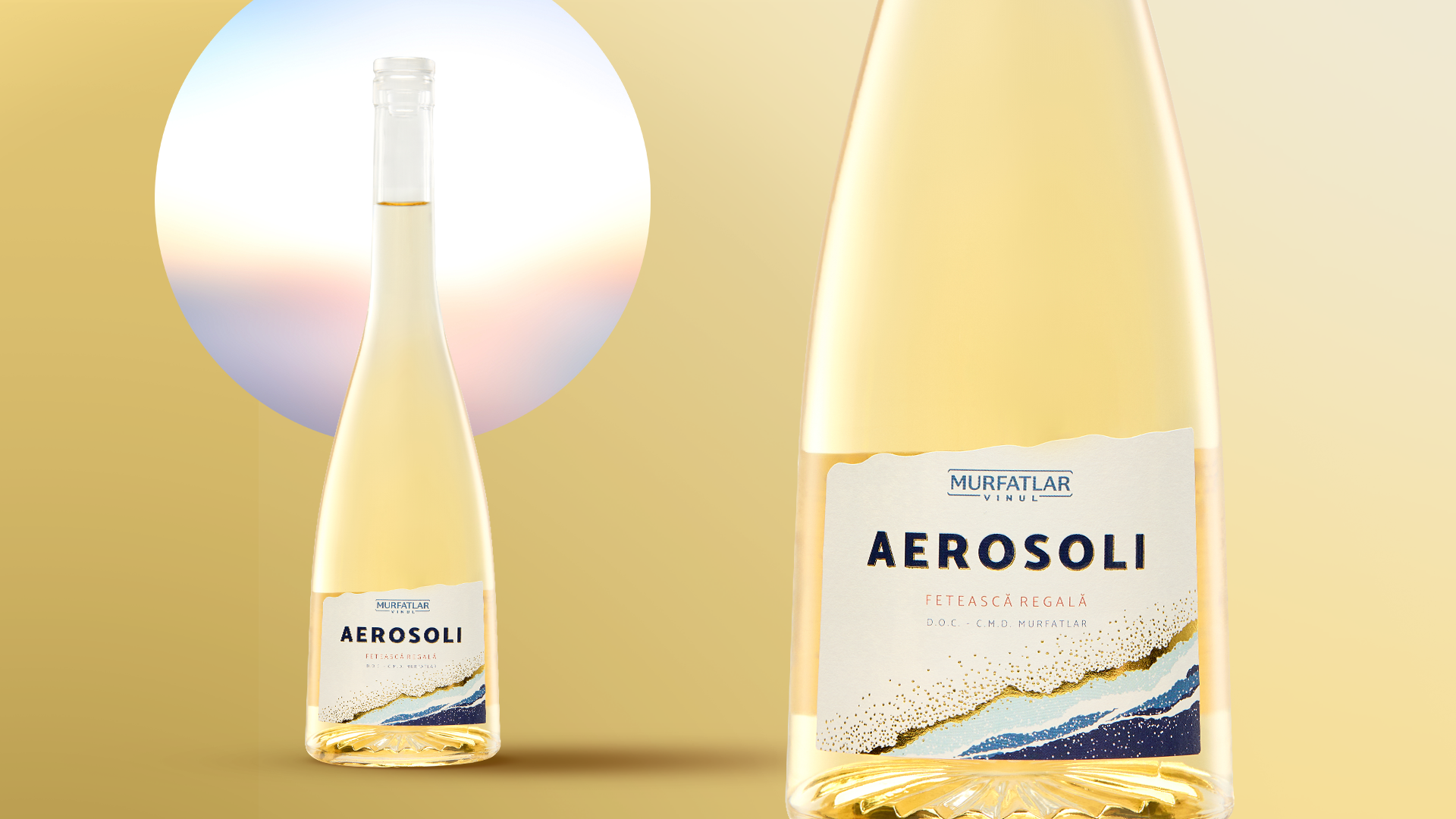 Aerosoli_Credo_1 copy Aerosoli_Credo_1 copy